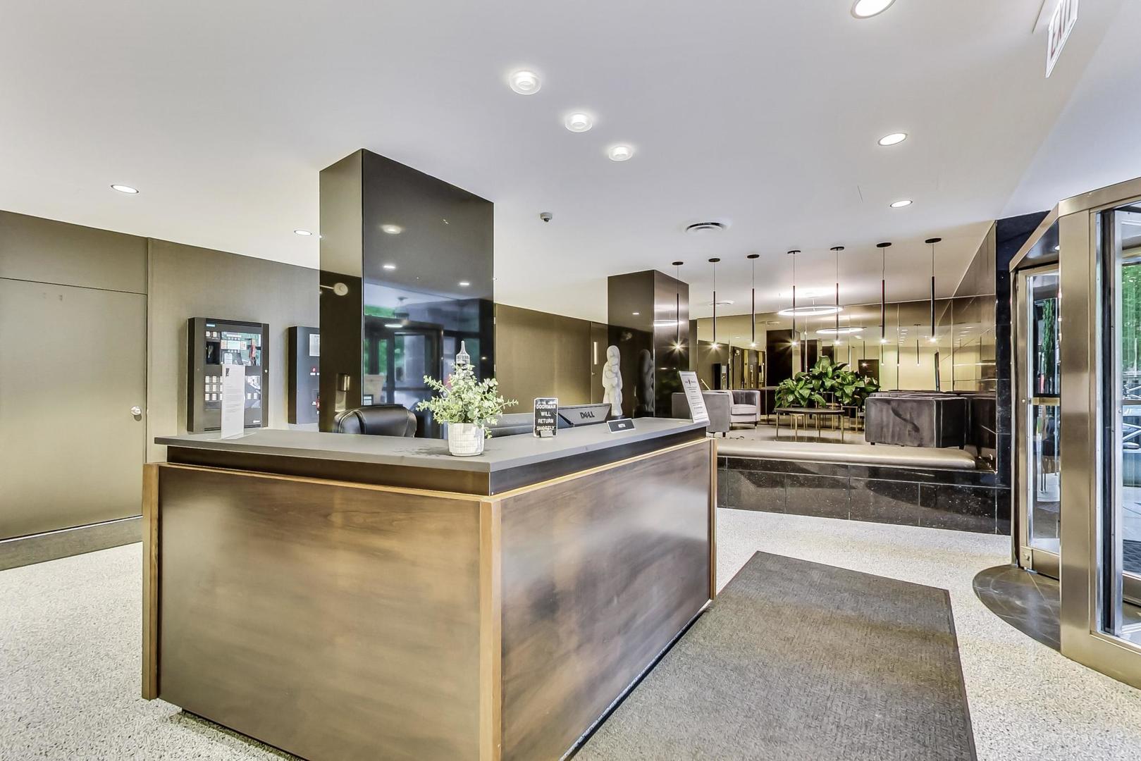 253 E Delaware Place 12E