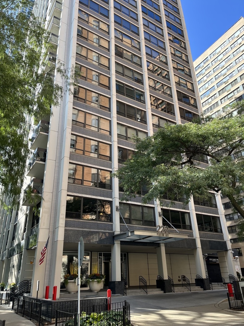 222 E PEARSON Street 1406