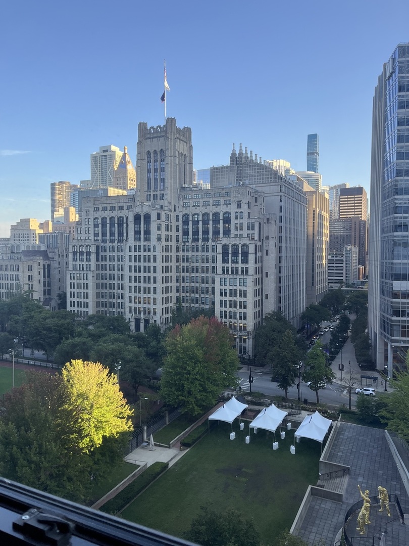 222 E PEARSON Street 1406