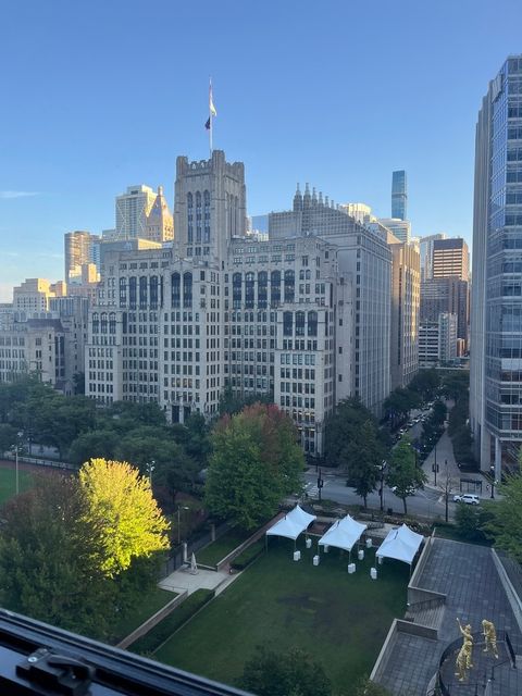 Tiny photo for 222 E PEARSON Street #1406, Chicago, IL 60611 (MLS # 12512979)