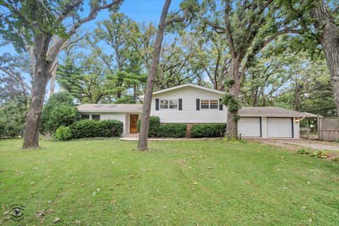 Photo of 21257 S 79th Avenue, Frankfort, IL 60423 (MLS # 12483299)