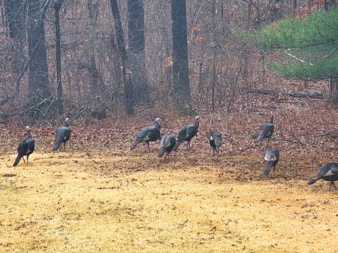 Tiny photo for 1022 Grouse Lane, Louisville, IL 62858 (MLS # 12593382)