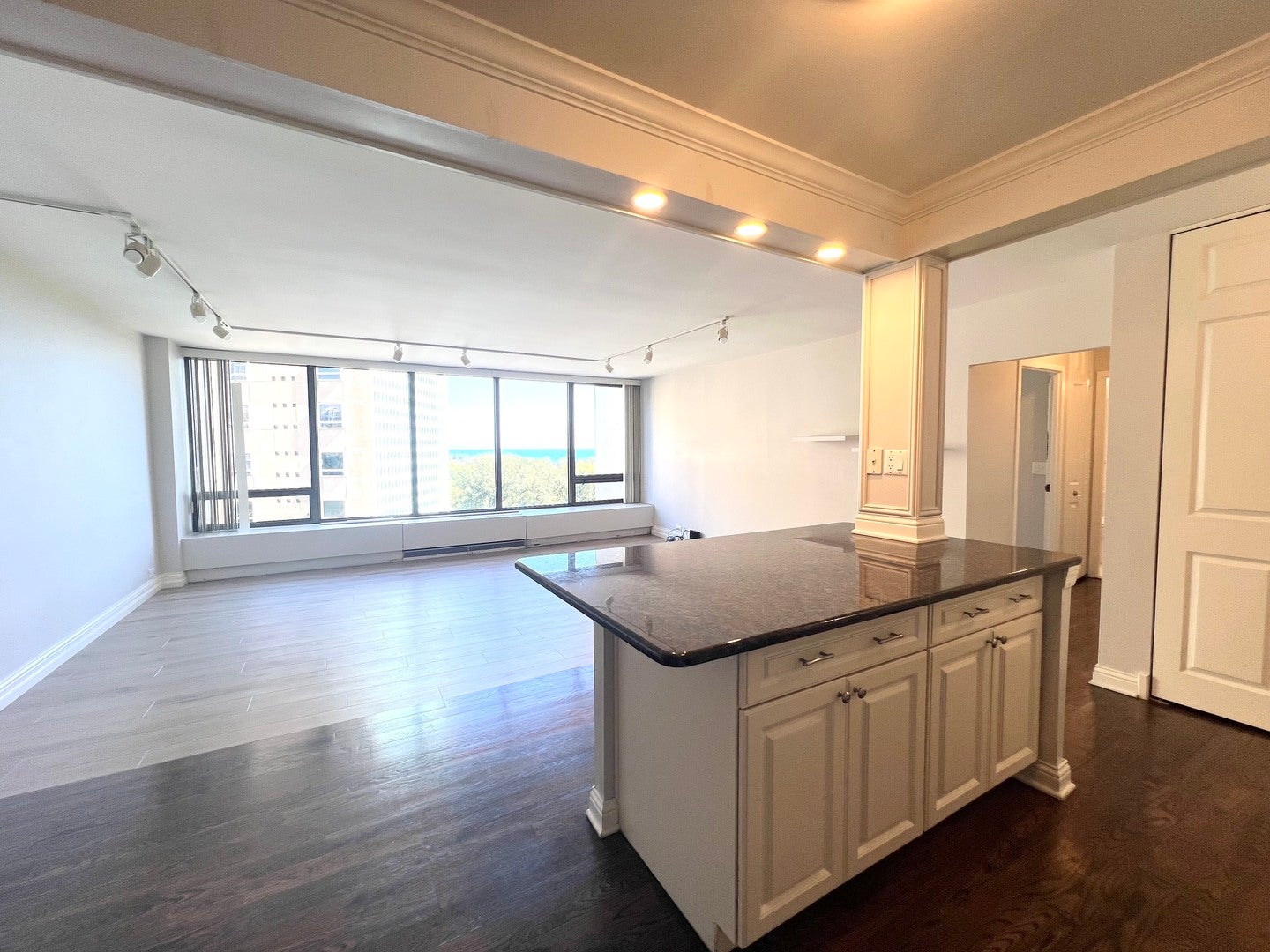 2800 N Lake Shore Drive 1003