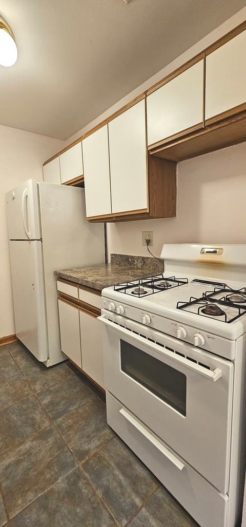 Tiny photo for 9958 S 84TH Terrace #206, Palos Hills, IL 60465 (MLS # 12720626)