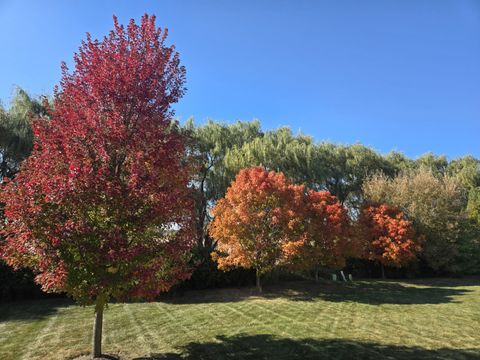 Tiny photo for 264 Rockville Lane, Gilberts, IL 60136 (MLS # 12586503)