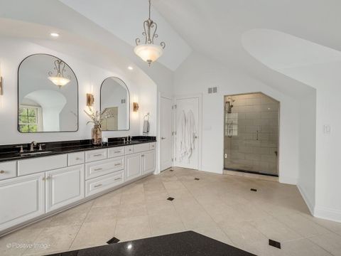 Tiny photo for 805 S Adams Street, Hinsdale, IL 60521 (MLS # 12620633)