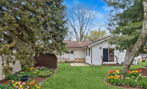 Tiny photo for 234 Peach Tree Lane, Elk Grove Village, IL 60007 (MLS # 12562789)