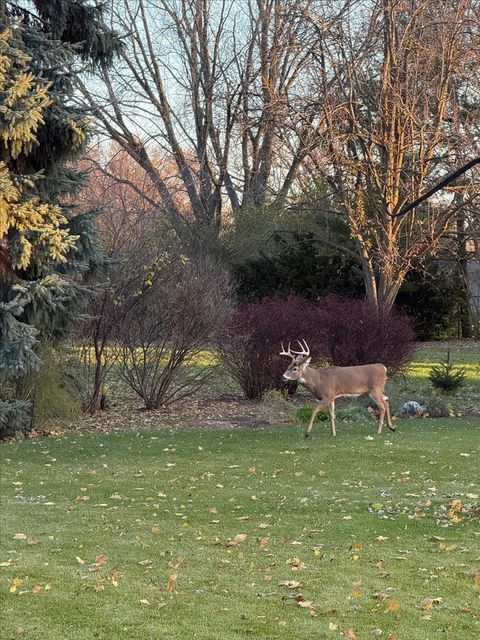 Tiny photo for 6136 Hidden Oak Drive, Crystal Lake, IL 60012 (MLS # 12594754)