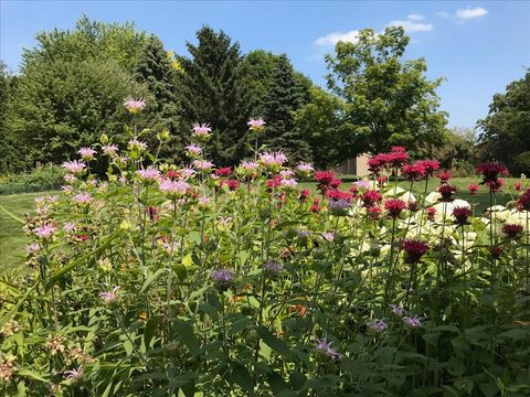 Tiny photo for 6136 Hidden Oak Drive, Crystal Lake, IL 60012 (MLS # 12594754)