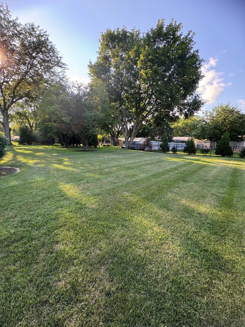 541 E Cloverlane Drive