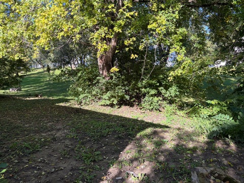 Tiny photo for 808 N Jefferson Avenue, Dixon, IL 61021 (MLS # 12780823)