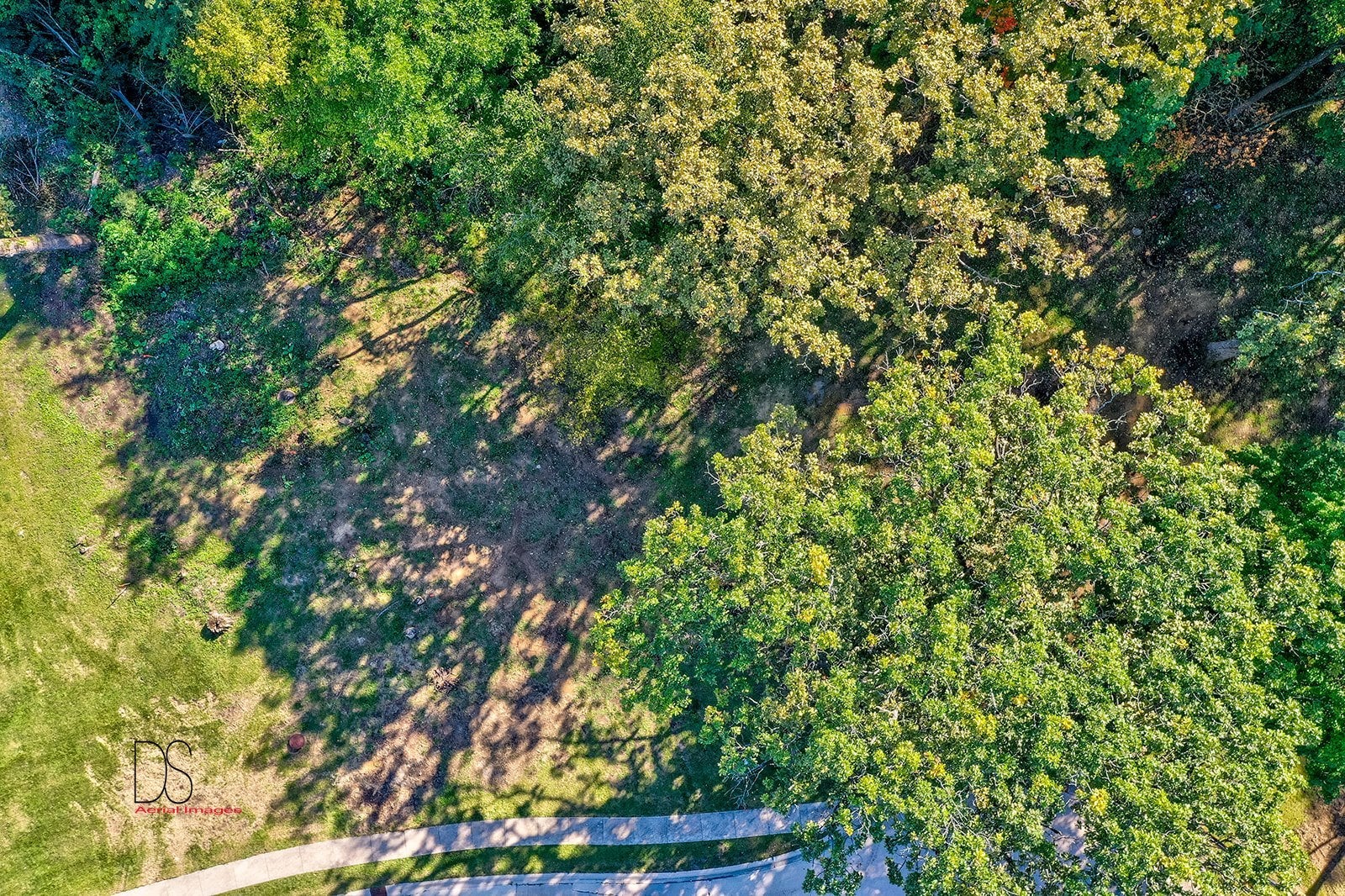 415 Deer Timber Lane