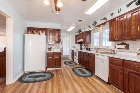 Tiny photo for 315 S Maple Street, Piper City, IL 60959 (MLS # 12577291)