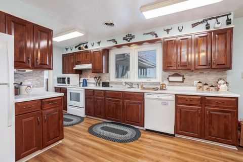 Tiny photo for 315 S Maple Street, Piper City, IL 60959 (MLS # 12577291)