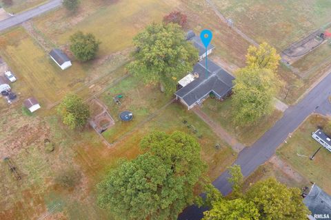 Tiny photo for 816 S ELM Street, Sesser, IL 62884 (MLS # EB460308)