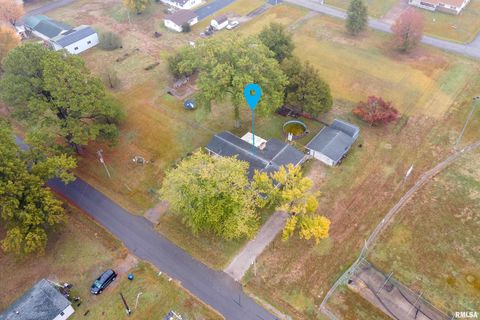 Tiny photo for 816 S ELM Street, Sesser, IL 62884 (MLS # EB460308)