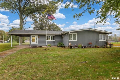 Tiny photo for 816 S ELM Street, Sesser, IL 62884 (MLS # EB460308)