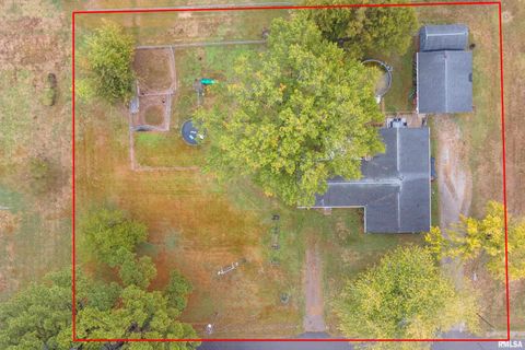 Tiny photo for 816 S ELM Street, Sesser, IL 62884 (MLS # EB460308)