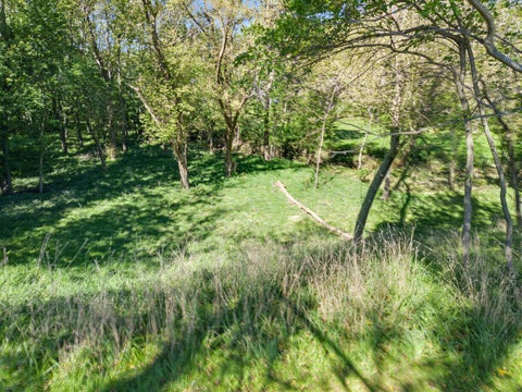 Tiny photo for 262 Brookside Drive, Paw Paw, IL 61353 (MLS # 12769798)