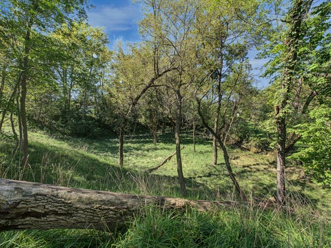 Tiny photo for 262 Brookside Drive, Paw Paw, IL 61353 (MLS # 12769798)