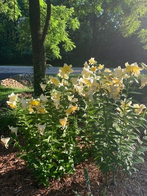 Tiny photo for 48 Indian Hills Drive, Putnam, IL 61560 (MLS # 12606938)