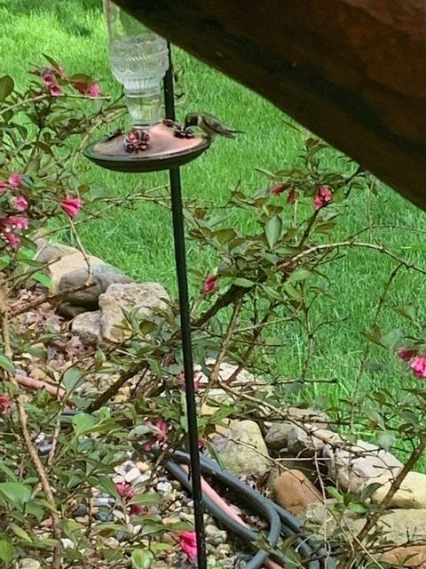 Tiny photo for 48 Indian Hills Drive, Putnam, IL 61560 (MLS # 12606938)