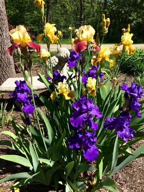 Tiny photo for 48 Indian Hills Drive, Putnam, IL 61560 (MLS # 12606938)