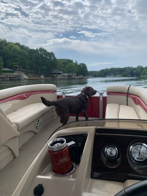 Tiny photo for 48 Indian Hills Drive, Putnam, IL 61560 (MLS # 12606938)