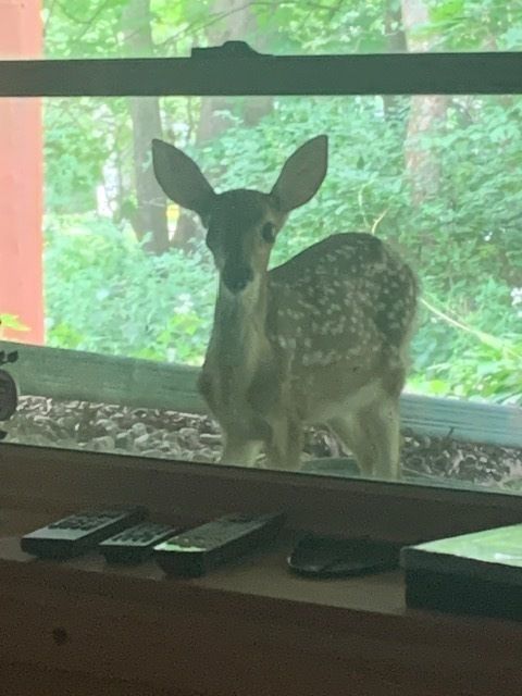 Tiny photo for 48 Indian Hills Drive, Putnam, IL 61560 (MLS # 12606938)