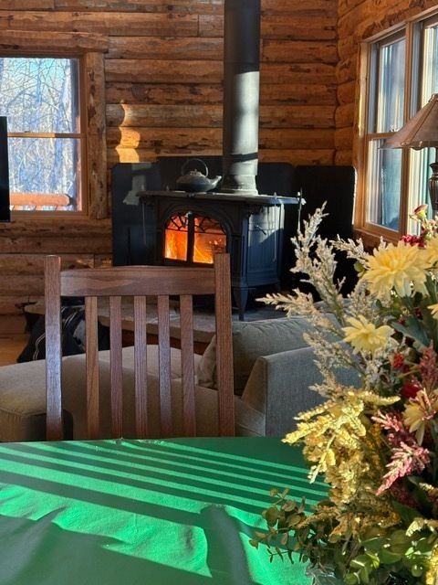 Tiny photo for 48 Indian Hills Drive, Putnam, IL 61560 (MLS # 12606938)