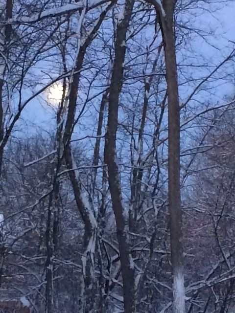 Tiny photo for 48 Indian Hills Drive, Putnam, IL 61560 (MLS # 12606938)