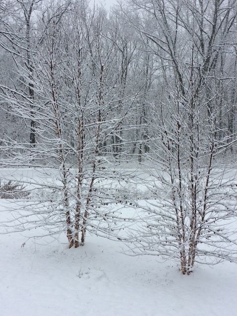 Tiny photo for 48 Indian Hills Drive, Putnam, IL 61560 (MLS # 12606938)