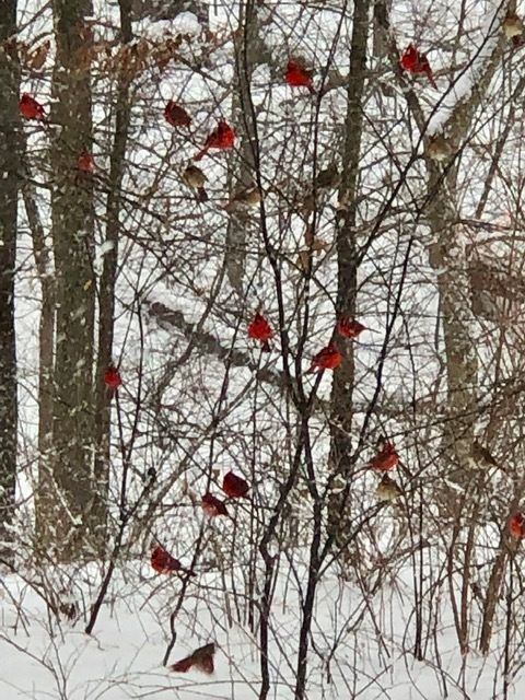 Tiny photo for 48 Indian Hills Drive, Putnam, IL 61560 (MLS # 12606938)