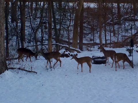 Tiny photo for 48 Indian Hills Drive, Putnam, IL 61560 (MLS # 12606938)