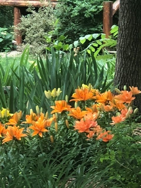 Tiny photo for 48 Indian Hills Drive, Putnam, IL 61560 (MLS # 12606938)