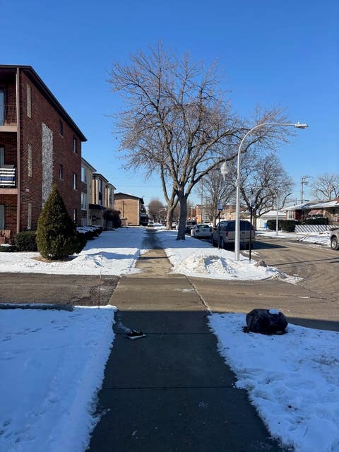Tiny photo for Chicago, IL 60638 (MLS # 12561570)