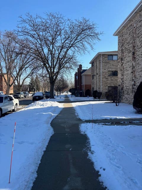 Tiny photo for Chicago, IL 60638 (MLS # 12561570)