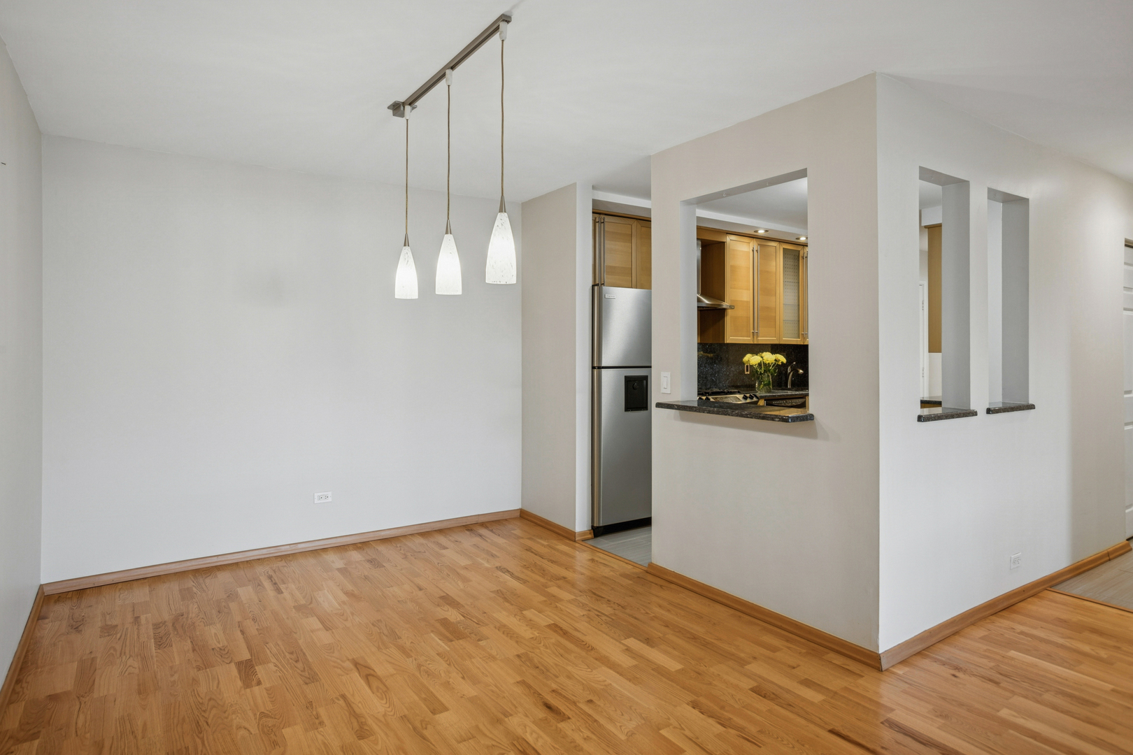 725 W Dempster Street 101