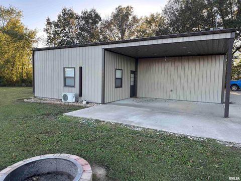 Tiny photo for 814 HYDE PARK Road, Royalton, IL 62983 (MLS # EB460196)