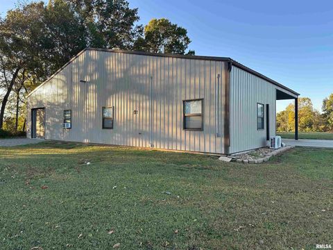 Tiny photo for 814 HYDE PARK Road, Royalton, IL 62983 (MLS # EB460196)