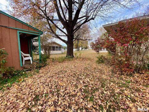 Tiny photo for 204 E HAMILTON Street, Energy, IL 62933 (MLS # EB460439)