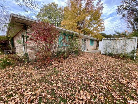 Tiny photo for 204 E HAMILTON Street, Energy, IL 62933 (MLS # EB460439)