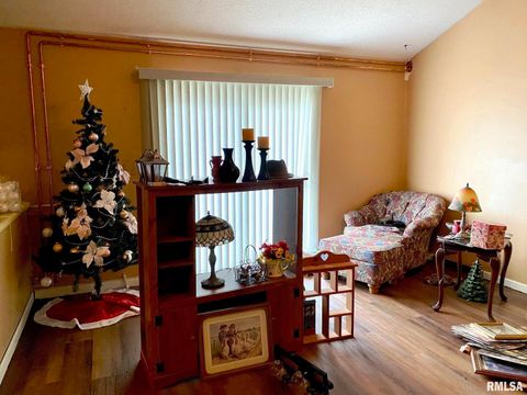 Tiny photo for 204 E HAMILTON Street, Energy, IL 62933 (MLS # EB460439)