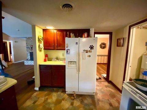 Tiny photo for 204 E HAMILTON Street, Energy, IL 62933 (MLS # EB460439)