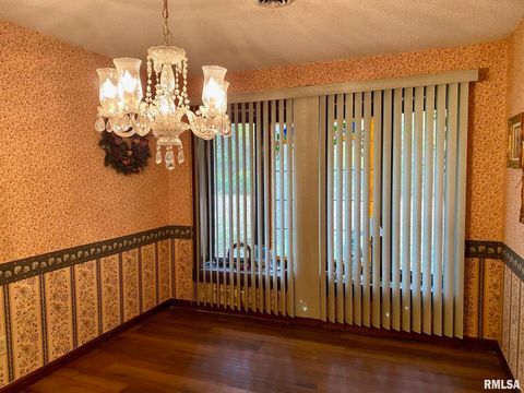 Tiny photo for 204 E HAMILTON Street, Energy, IL 62933 (MLS # EB460439)