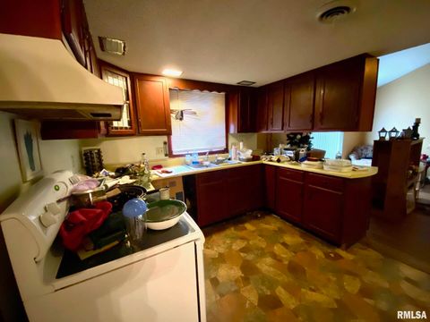 Tiny photo for 204 E HAMILTON Street, Energy, IL 62933 (MLS # EB460439)