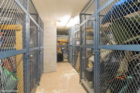 Tiny photo for 245 S Park Lane #424, Palatine, IL 60074 (MLS # 12436643)