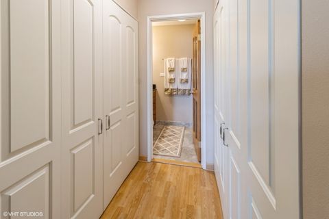 Tiny photo for 245 S Park Lane #424, Palatine, IL 60074 (MLS # 12436643)