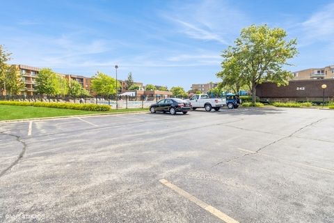 Tiny photo for 245 S Park Lane #424, Palatine, IL 60074 (MLS # 12436643)