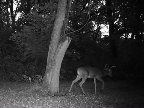 Tiny photo for 5180 W Cantrell Street, Decatur, IL 62522 (MLS # 12497624)